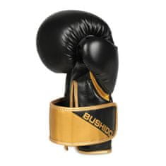 DBX BUSHIDO boxerské rukavice B-2v10 10 oz.