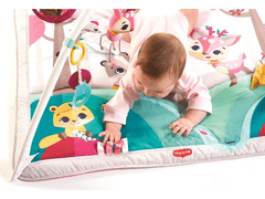 Hrací deka s hrazdou Gymini Tiny Princess Tales