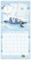 Poznámkový kalendář Medvídek Pú - První rok dítěte, nedatovaný, 30 x 30 cm