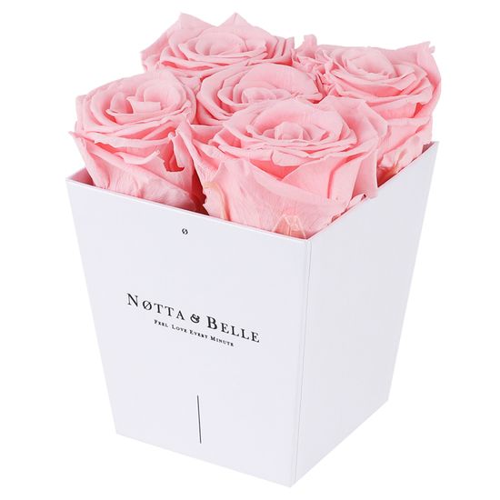 Notta & Belle Červená kytice «Forever» v bílé krabičce - 5 ks