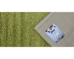 Kusový koberec Efor Shaggy 1903 Green 80x150