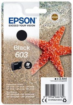 Epson 603, černá (C13T03U14010)