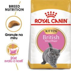Royal Canin British Shorthair Kitten 10 kg