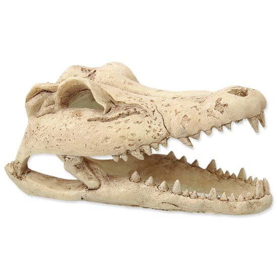 REPTI PLANET Dekorace Krokodýlí lebka 13,8 cm
