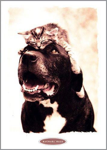 Rachael Hale Blahopřání , Zubatý pes s kotětem