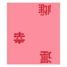 Eulenspiegel Airbrush šablona , Airbrush šablony - Čínské znaky II
