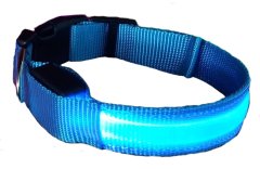 Reedog Colour svíticí obojek pro malé, střední a velké psy - Modrá - 22 - 40 cm