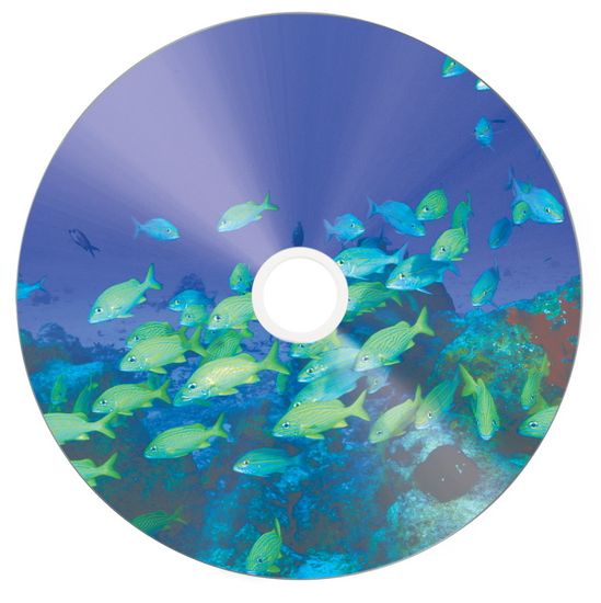 Verbatim CD-R DataLifePlus 700MB, 52x, silver printable, spindle 50 ks (43653)