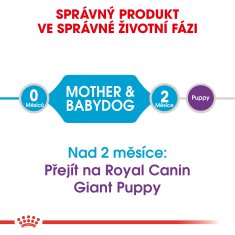 Royal Canin Giant Starter Mother&Babydog 15 kg EXPIRACE 22.10.2023