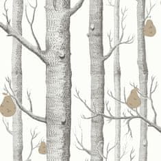 Cole & Son Tapeta WOODS & PEARS 5027, kolekce CONTEMPORARY RESTYLED