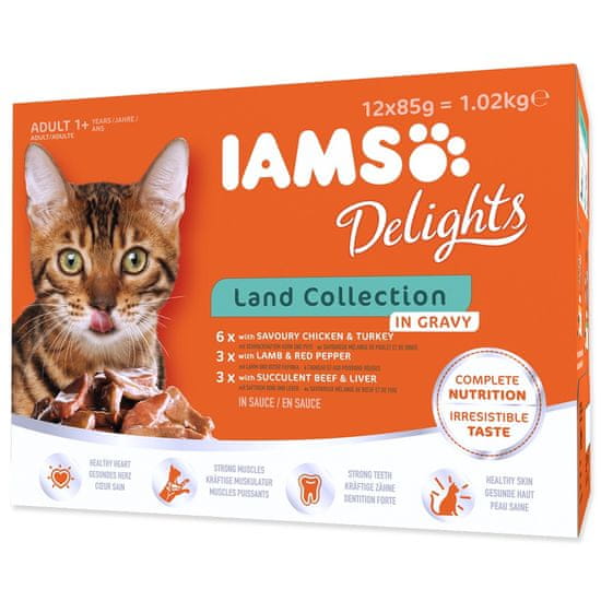 IAMS Kapsičky Cat výběr ze suchozemských mas v omáčce multipack 12x85 g