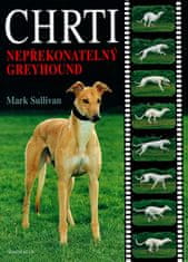 Mark S. Sullivan: Chrti - Nepřekonatelný Greyhound