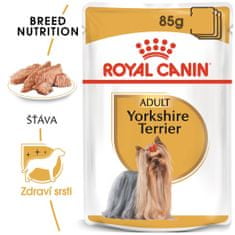 Royal Canin Yorkshire kapsičky pro jorkšíry 12x85 g