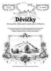 Rostislav Vojkovský: Děvičky - Zříceniny hradu v Pavlovských vrchách severně od Mikulova