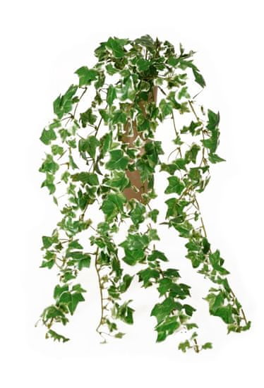 EverGreen Minilístková rostlina Břečťan, 70 cm