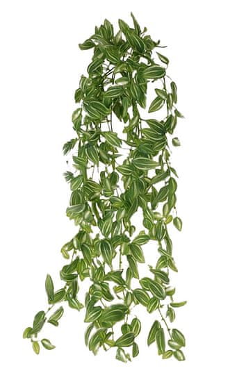 EverGreen Minilístková rostlina tradescantia, 70 cm