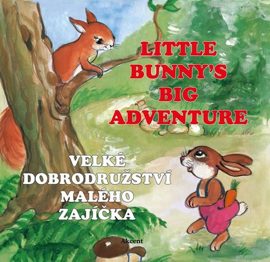 Šnajderová Ludmila: Velké dobrodružství malého zajíčka / Little Bunny´s Big Adventure