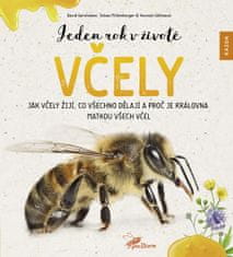 David Gerstmeier: Jeden rok v životě včely - Jak včely žijí, co všechno dělají a proč je královna matkou všech včel