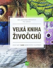 autorů kolektiv: Velká kniha živočichů od jednobuněčných po savce - Více než 1600 barevných ilustrací