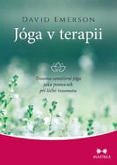 David Emerson: Jóga v terapii - Trauma-sensitivní jóga jako pomocník při léčbě traumatu