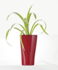 G21 Samozavlažovací květináč Trio mini červený 26 cm