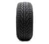 225/55R17 101V RIKEN SNOW XL