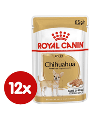 Royal Canin Chihuahua kapsičky pro čivavy 12x85 g