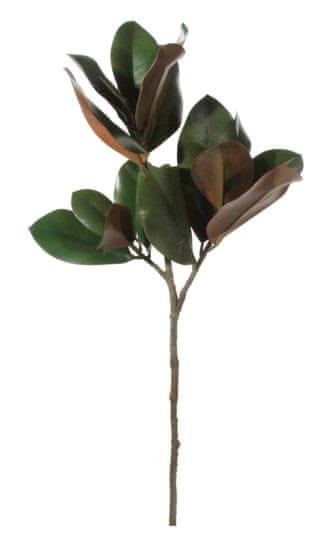 Shishi Listy magnolie, 80 cm