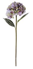 Shishi Hortenzie fialová, 90 cm