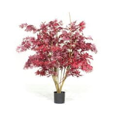 A La Maison Javor dlanitolistý (Acer palmatum) červený v květináči, 150 cm