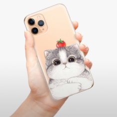 iSaprio Silikonové pouzdro - Cat 03 pro Apple iPhone 11 Pro