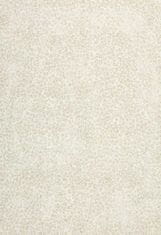 Kusový koberec Piazzo 12268 100 60x120