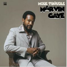 Gaye Marvin: More Trouble