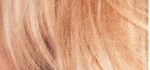 L’ORÉAL PARIS Permanentní barva na vlasy Préférence (Odstín 9.1 Oslo Velmi světlá popelavá blond)