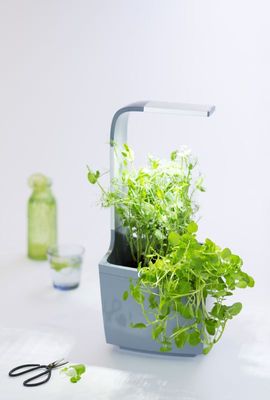 Tregren T3 Kitchen Garden, chytrý květináč, automatické zalévání i svícení, ovládání aplikací