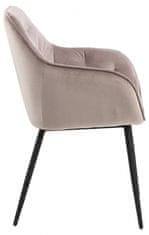 Design Scandinavia Jídelní židle Brooke (SET 2ks), samet, růžová