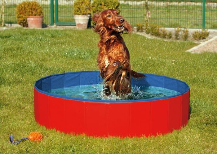 Karlie skládací bazén pro psy modro/červený 80x20 cm - rozbaleno
