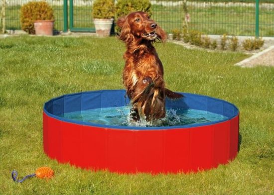 Karlie skládací bazén pro psy modro/červený 120x30 cm