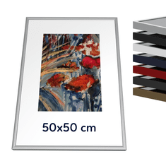 Kovový rám 50x50 cm - Elox stříbro mat 1-04