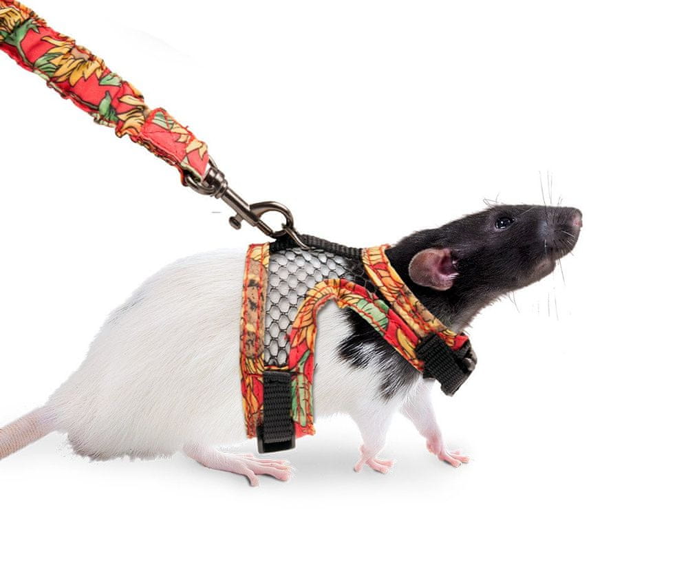Karlie postroj s vodítkem pro potkany S - zánovní