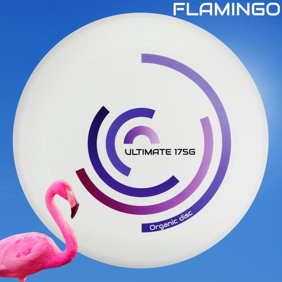 Frisbee Eurodisc Rotation Bird