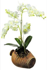 AG Design SM3430 Samolepicí dekorace Orchidej, 42,5 x 65 cm