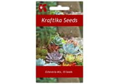 Kraftika 10 semen sukulentů echeveria mix