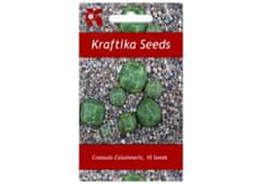 Kraftika 10 semen sukulentů crassula columnaris