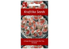 Kraftika 10 semen sukulentů lithops, "živé kamínky"