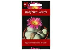 Kraftika 10 semen sukulentů argyroderma delaetii, "živé kamínky"