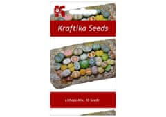 Kraftika 10 semen sukulentů lithops, "živé kamínky", mix