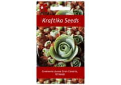 Kraftika 10 semen sukulentů greenovia aurea gran canaria
