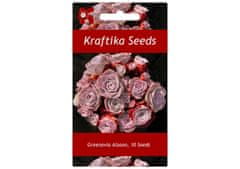 Kraftika 10 semen sukulentů greenovia aizoon, horská růže