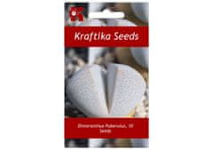 Kraftika 10 semen sukulentů dinteranthus puberulus